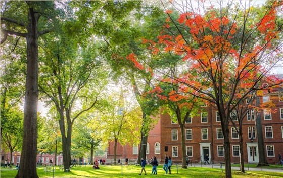 校园景观设计图片