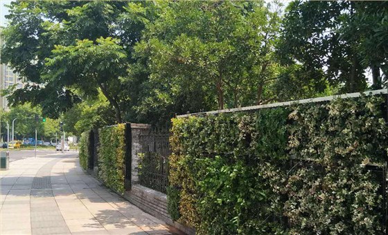 园林景观设计图片