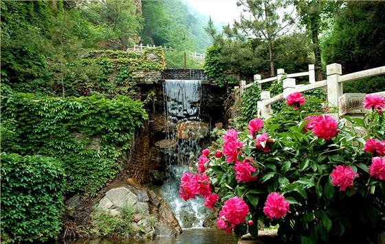 养生旅游度假区文化景观设计图片