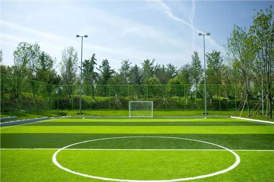 运动公园景观设计