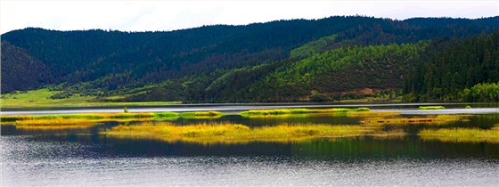 森林公园景观设计图片