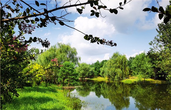 城市湿地公园图片2