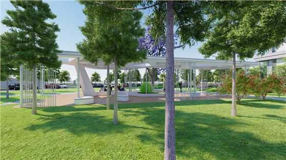 工业生态园区常用的绿化树种