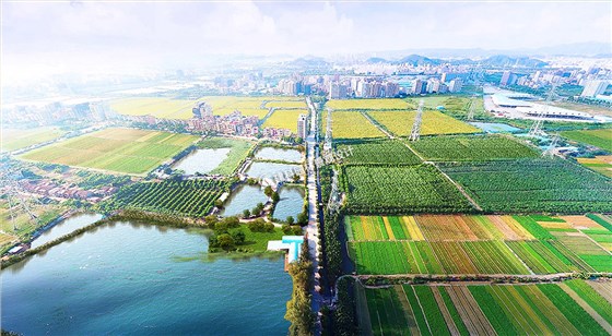 农业生态园的规划设计策略