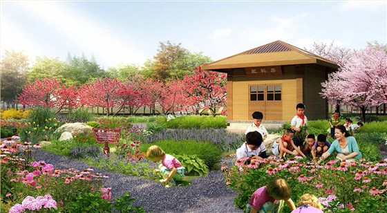 国内自然教育的实践探索