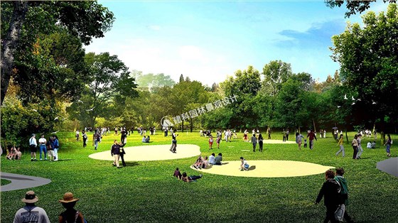 城市公园景观绿化植物配置原则