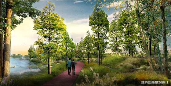 基于生态修复视角下的湿地公园景观设计