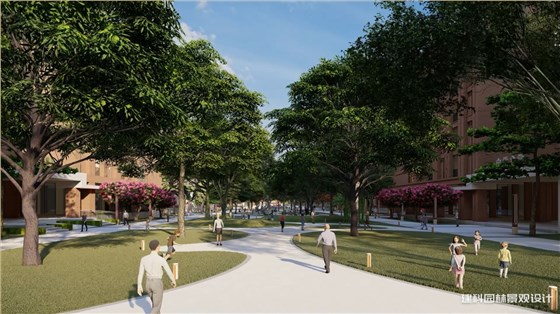 学校绿地改造设计的总体布局与功能分区