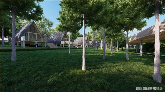 森林公园景观保护与提升的核心原则