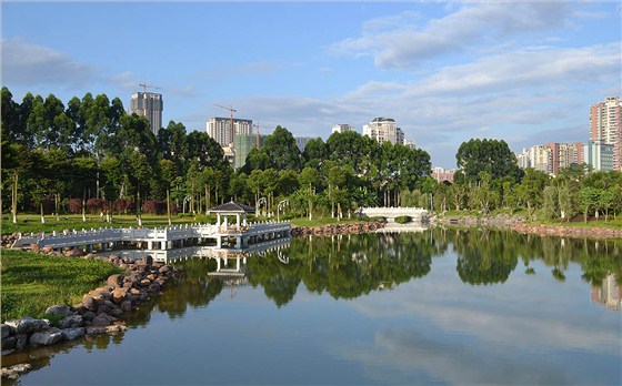 城市湿地公园规划设计