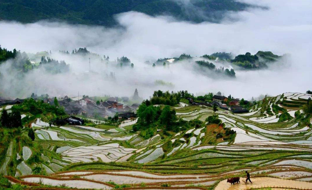 农旅融合图片1