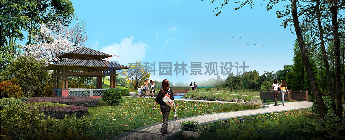 美丽乡村图片