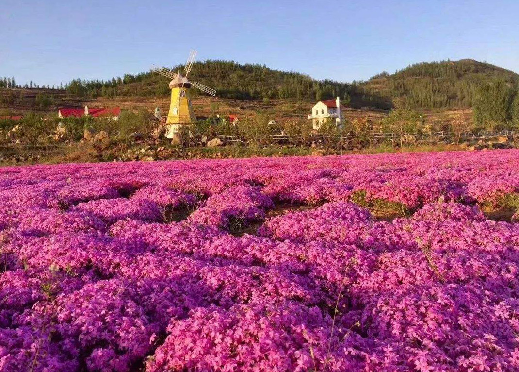 田园综合体图片1