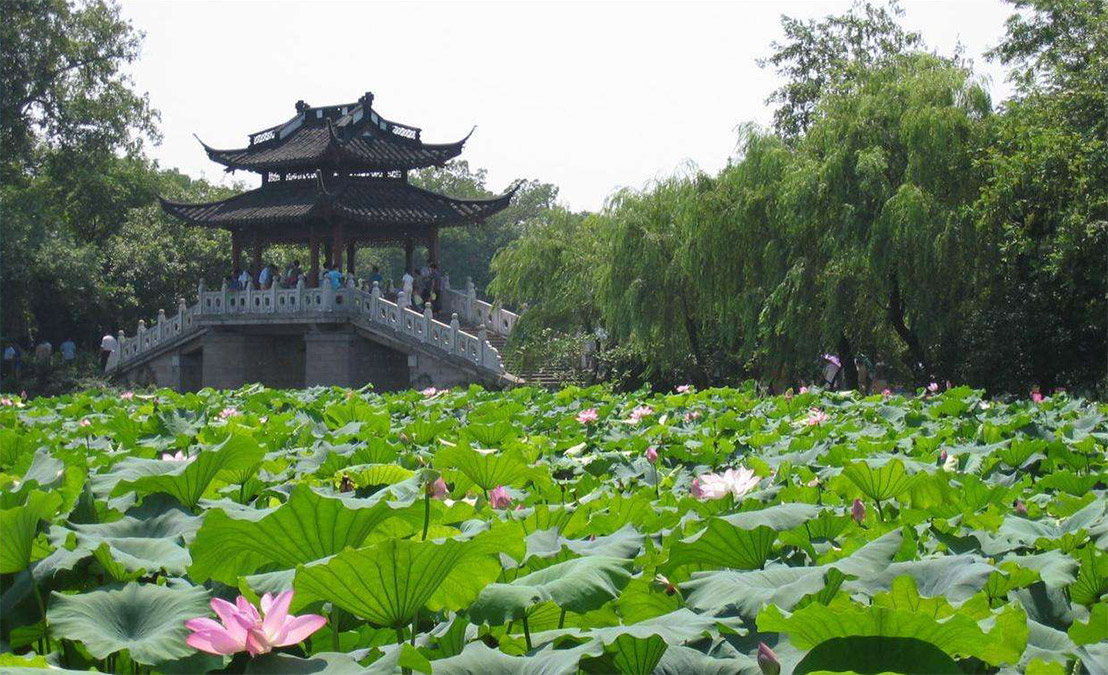 园林设计图片