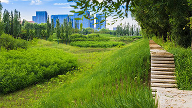 城市园林景观设计中海绵城市理论的运用要从哪几个方面入手