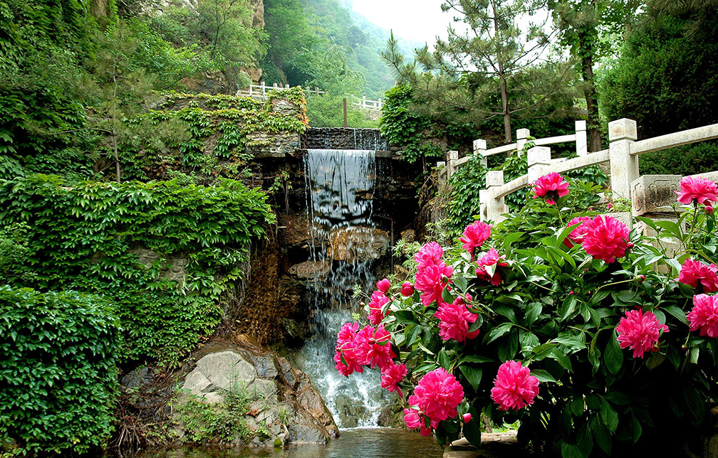 养生旅游度假区文化景观设计图片