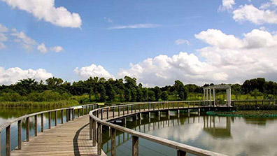 城市观光湿地公园规划设计的4点原则
