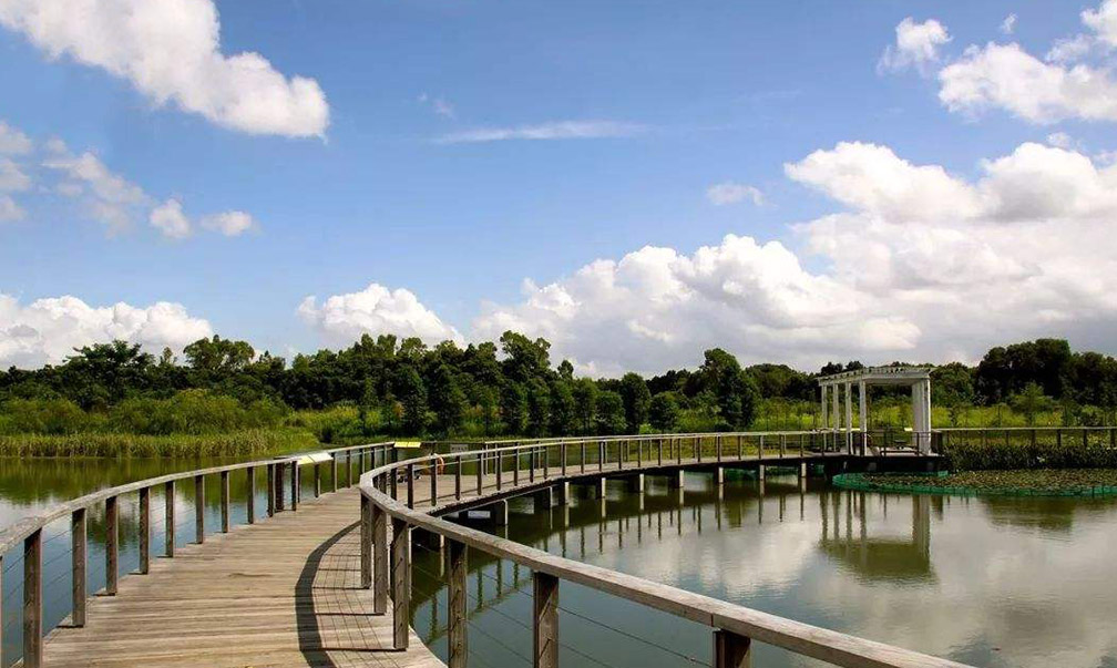 城市观光湿地公园规划设计图片