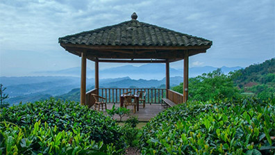 以茶文化为背景的酒店景观设计理念及手法