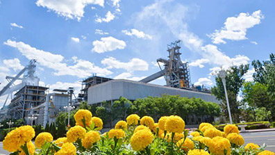 钢铁企业厂区绿化设计原则