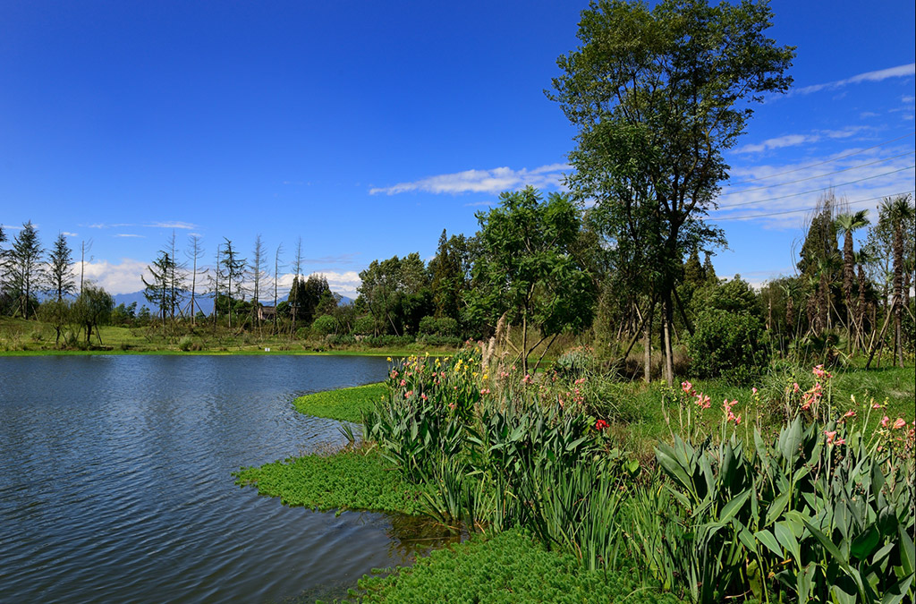 湿地公园2