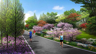 风景园林规划设计中园林道路设计要点研究
