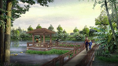 城市湿地公园植物景观的具体元素设计