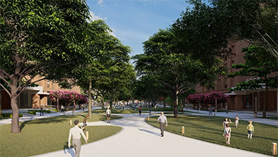 学校绿地改造设计的总体布局与功能分区