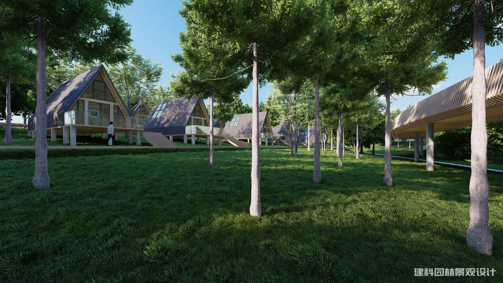 森林公园景观保护与提升的核心原则