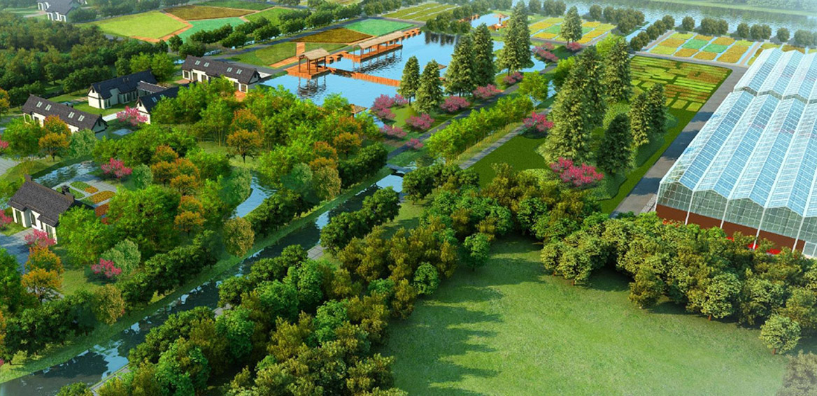 乡村湿地景观规划设计