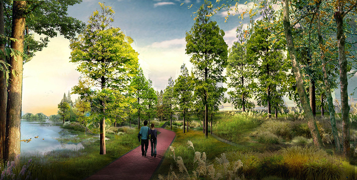 湿地公园植物景观规划